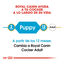 Royal Canin Puppy Cocker pienso para perros, , large indicador imagen numero 7